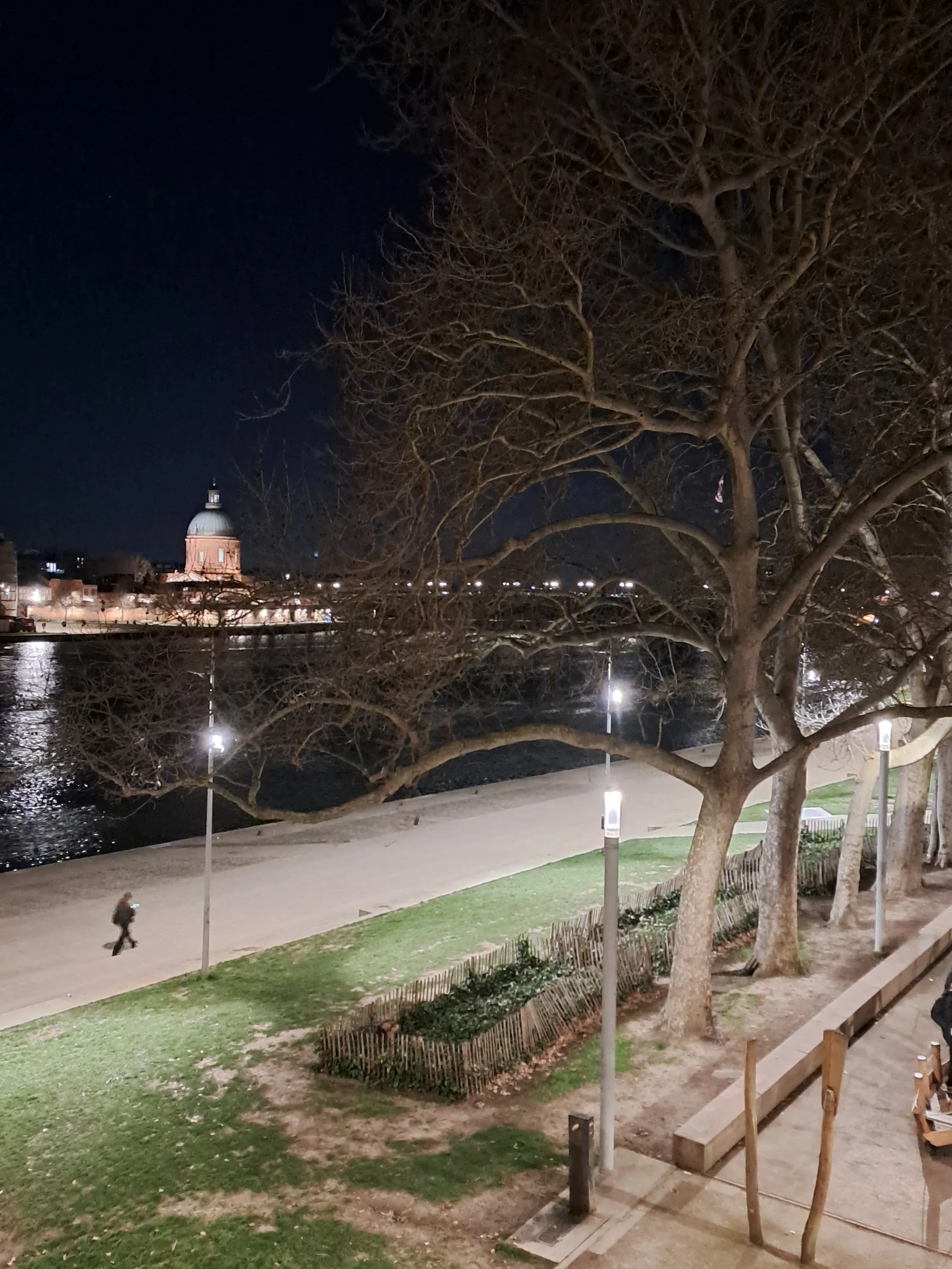 Toulouse - Garonne de nuit
